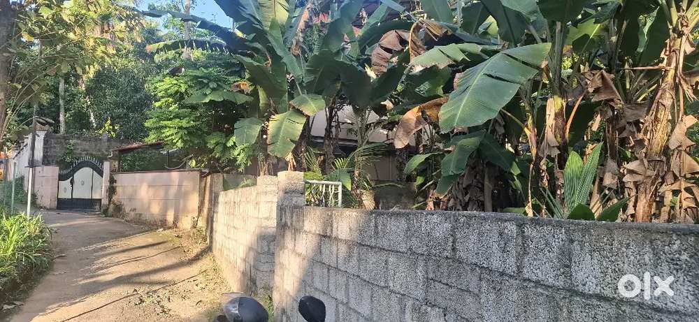 ശ്രീകാര്യം കരിയം jn സമീപം 8 cent വില്പനയ്ക്ക്  മെയിൻ റോഡ് 20 mtr only