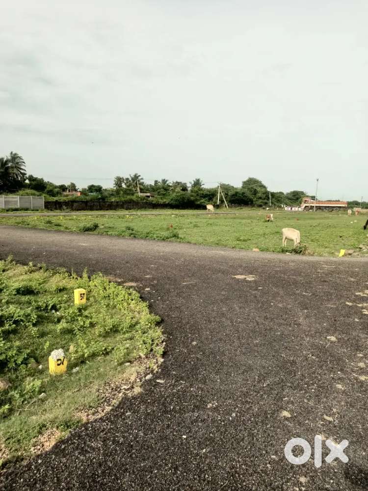 Cprl road near plot in thiruvallur