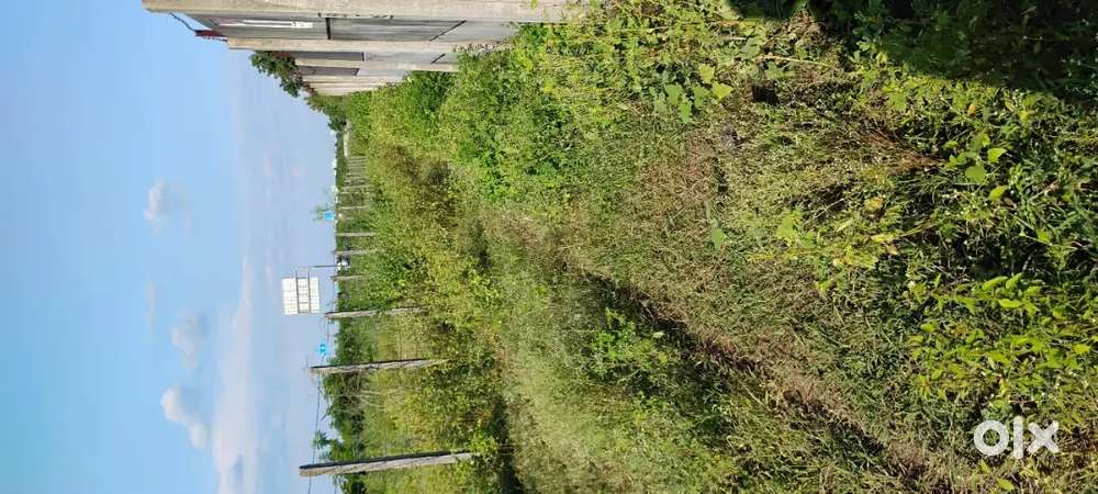 39R SAMRUDDHI MAHAMARG TOUCH LAND For Sale AT YELAKELI ROAD WARDHA