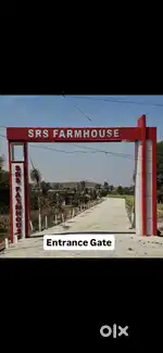 Fully developed farmland at Golkhedi Berasia road