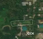 Land for Sale - 1 Bigha 7 Lessa in Mughkuchi , Nalbari