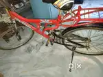 Atlas cycle