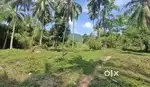 Land and plots
