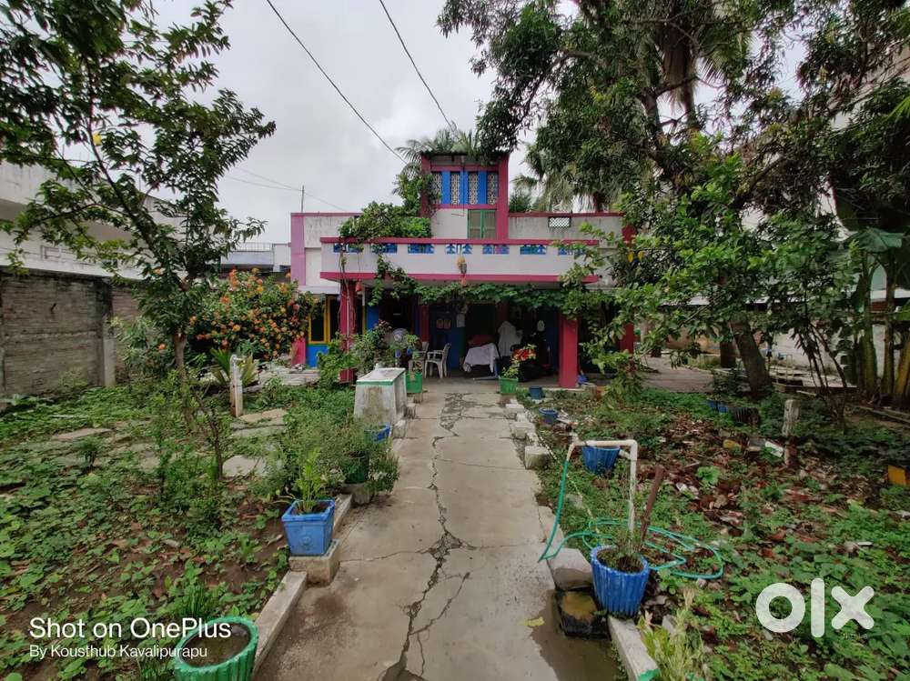 House for Rent