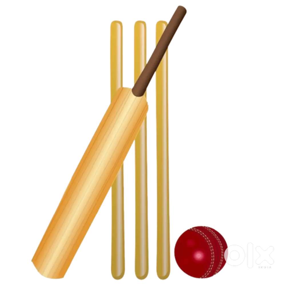 Cricket Player Needed