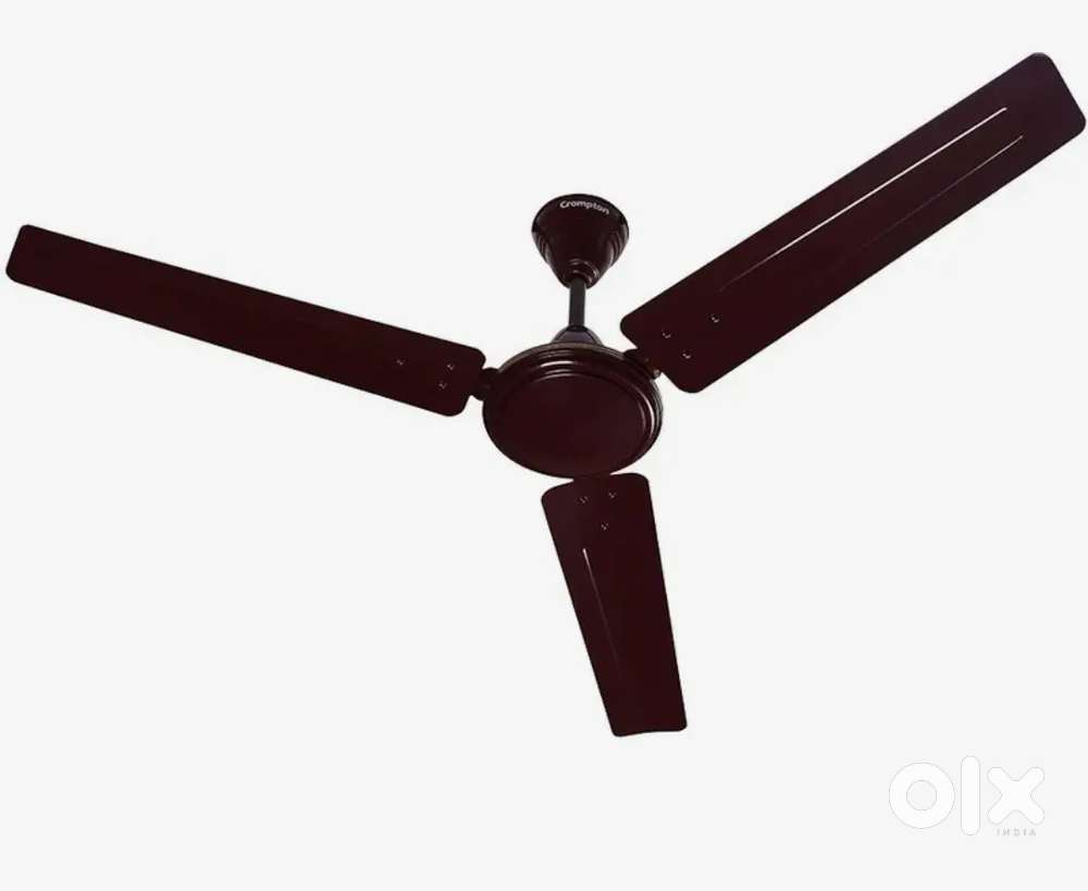 Ceiling fan