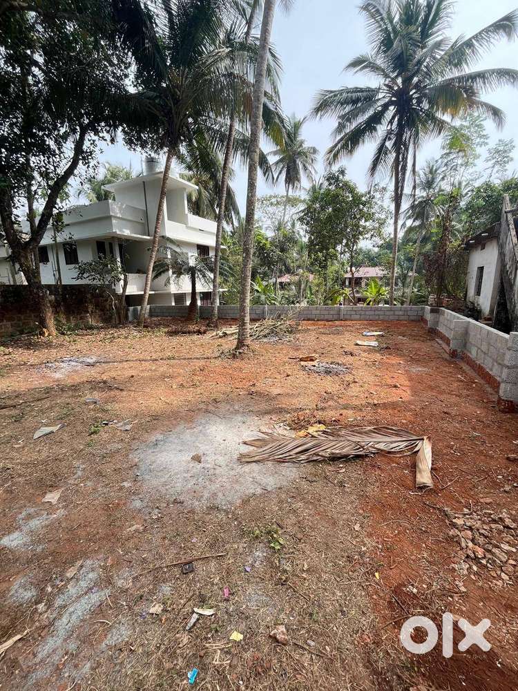 5.75 Cent Residential Plot for Sale  ₹7.3L per Cent