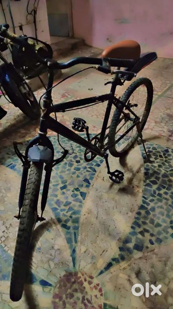 Cycle low budget