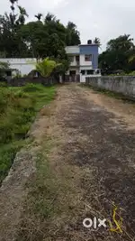 3 and 6 cent land for sale