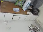 DIWAN SINGLE BED HEAVY DUTY HAND MADE