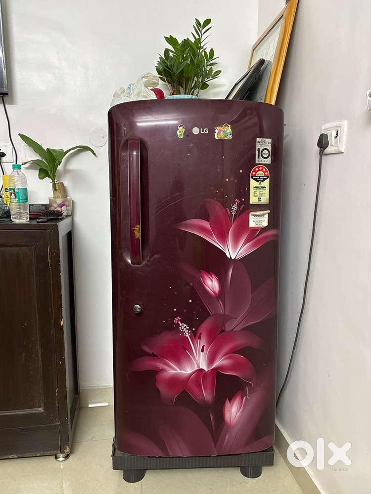 Smart inverter fridge