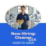 Cleaner staff hiring