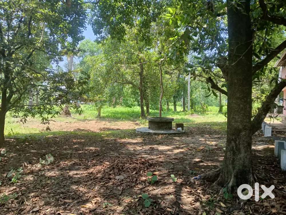 10, 25,50,100,200,500cent +pawor building for റെന്റ്