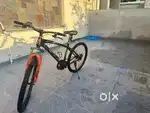 Vector company cycle