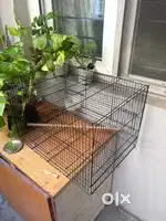 Love birds cage