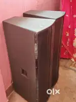 Beta Double 12  DJ Speaker Sound