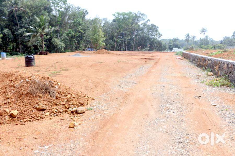 House plot 20 cent near Ettumanoor -Punnathura 2.5 lakh/cent