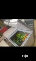 Deep freezer 500Lor freezer