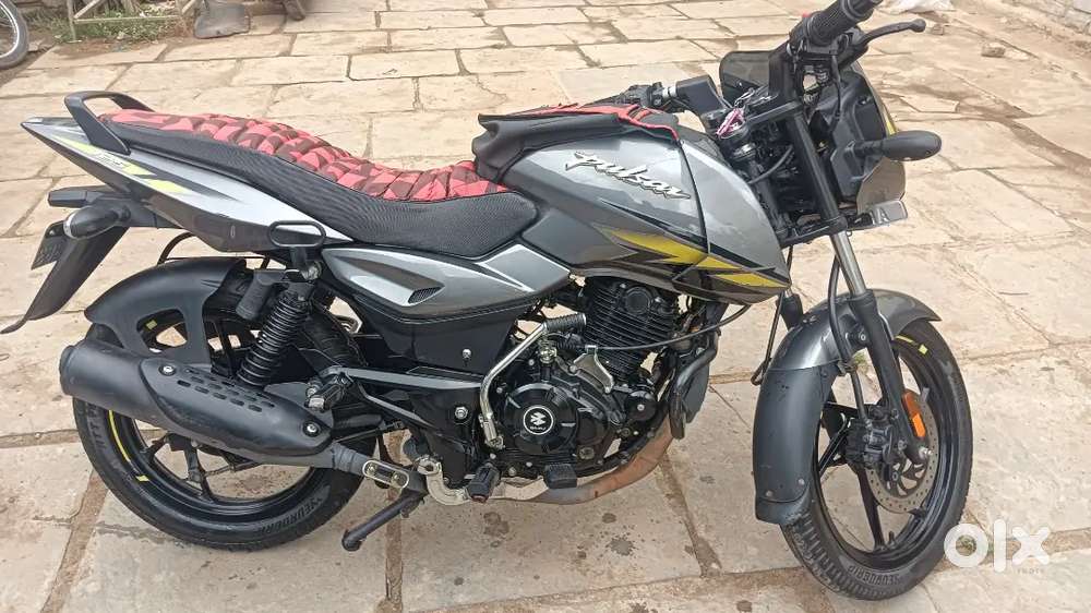 2024 model RC and bike papers available