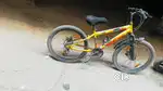 Gear cycle