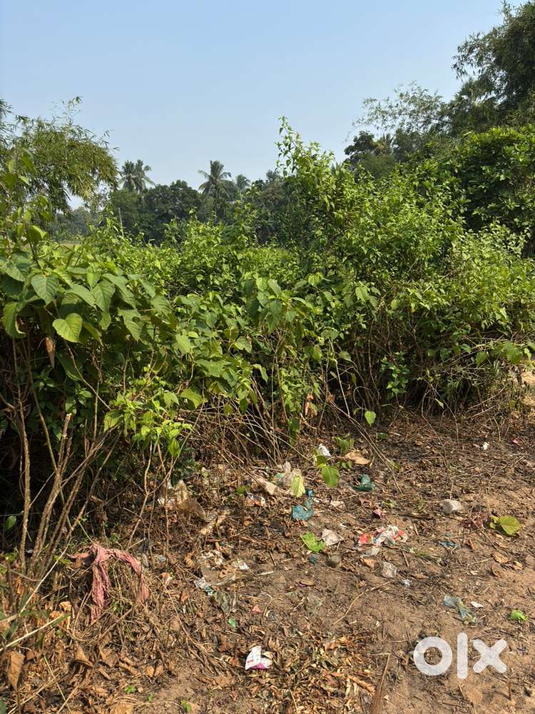 SC land Near Tarjanga