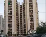 A well designed society