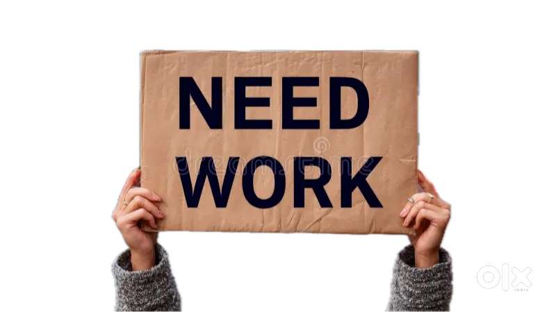 Cook, Kitchen Helper, Housekeeping, Saaf Safai wala chahie