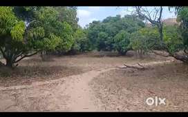 1 Acre 5 Gunta Farm Land for Sale in Ramanagara