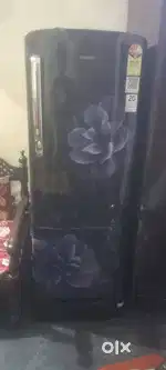 fridges 223L