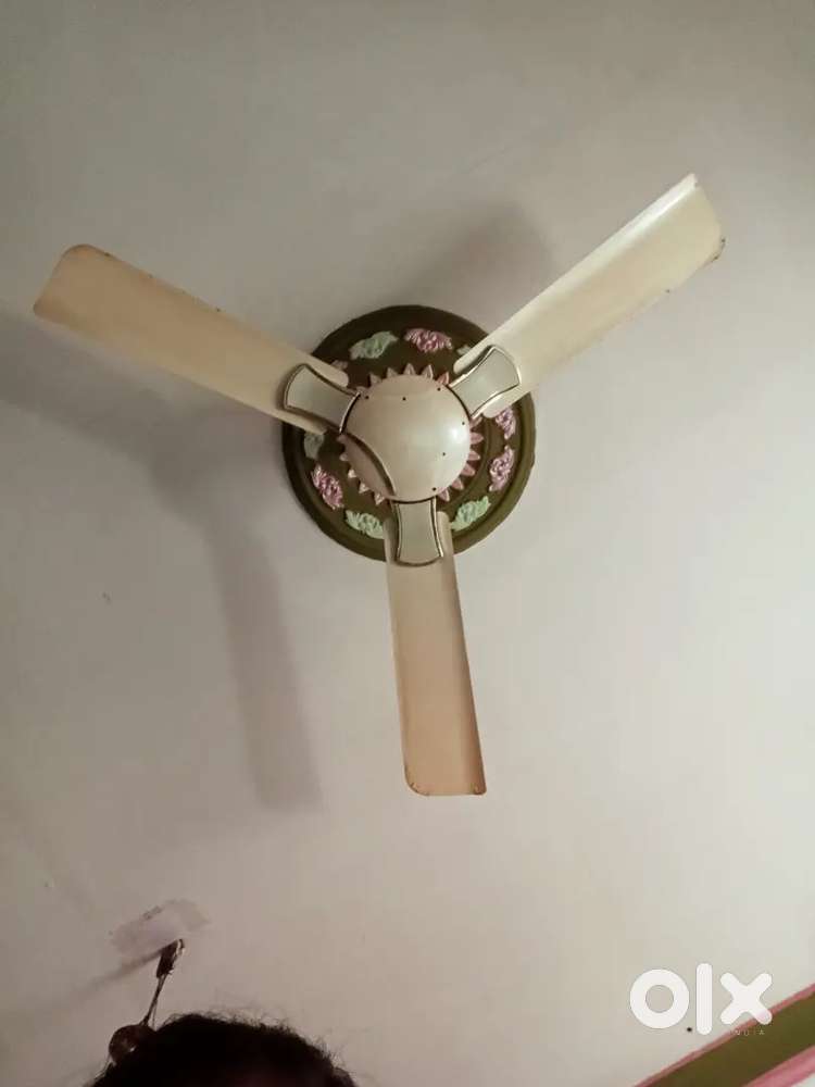 Cream Siling fan 3 bland