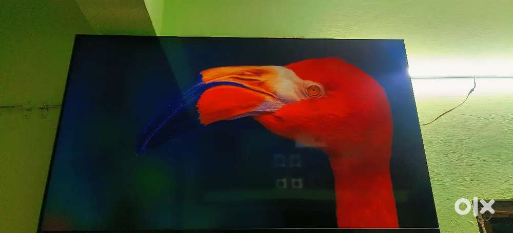 Mi 50inch 4k altra hd led