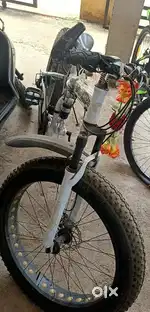 BMW foldable  cycle
