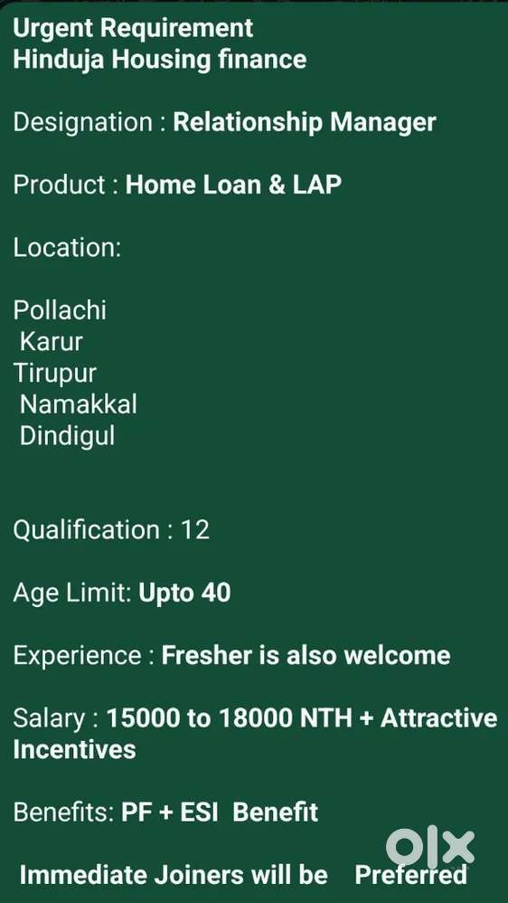 Sales Executive