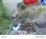 Plot 30y30  बिकाऊ है but agreement par h 35 sal  ho gye mujhe liye