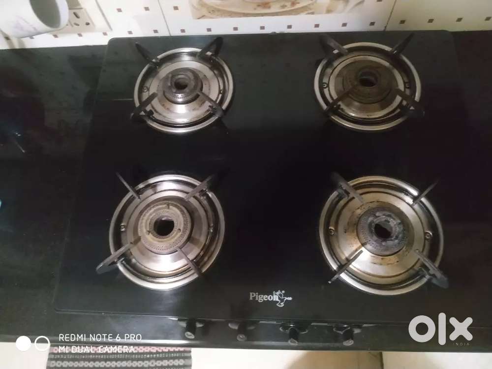 4 burners gas stove glass top pigeon