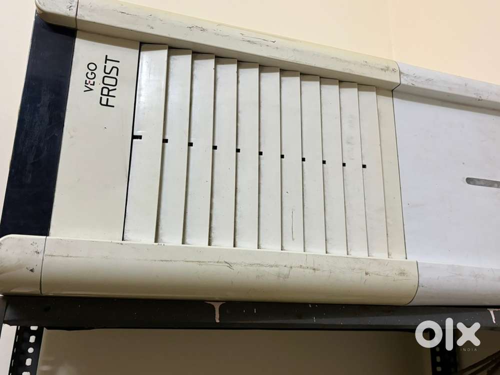 Vego frost coller 3 year old