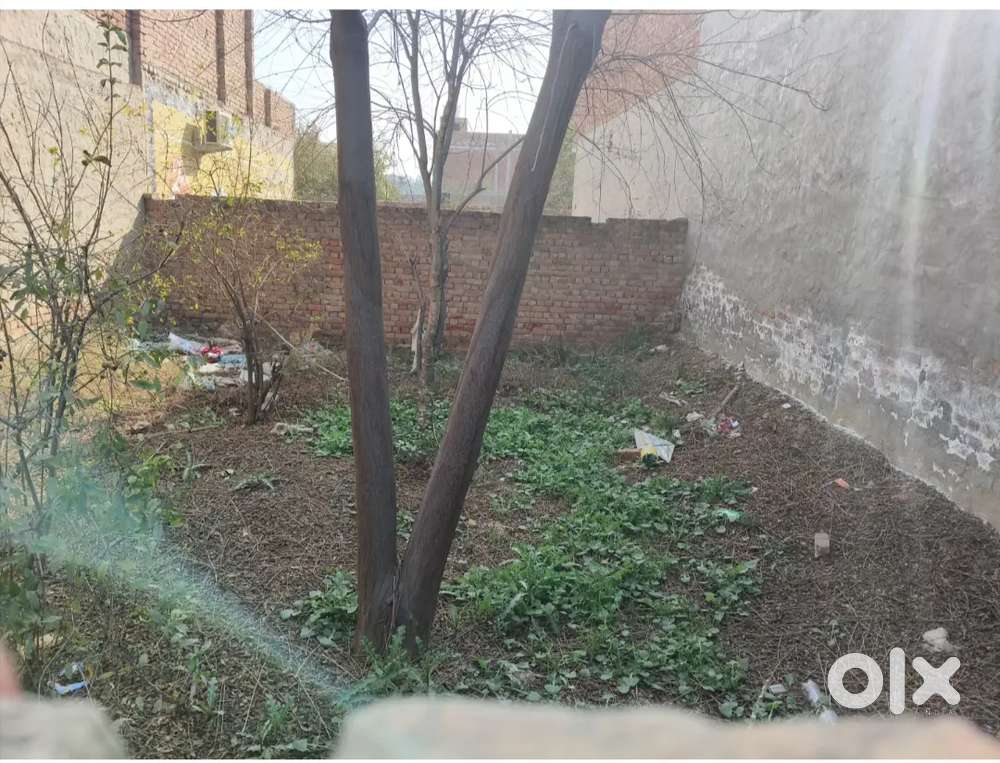 Best plot for office and house