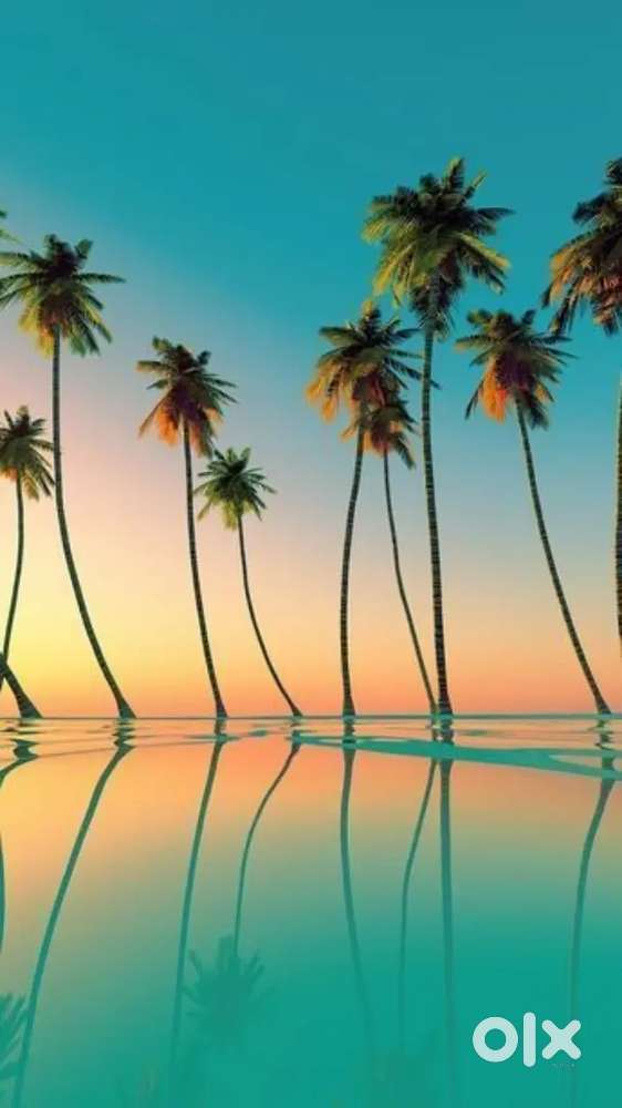 Resale Plot Settlement Zone