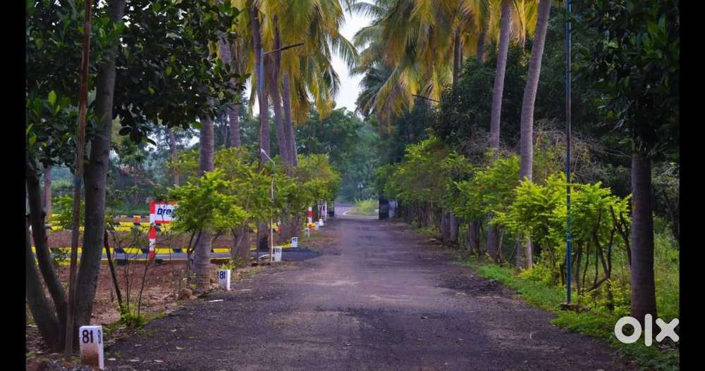 காந்திகிராமம் கல்லூரி பின்புறம் - சிறுமலை வியூ உடன் மாதத் தவணை மனைகள்!
