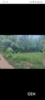 Land for sale