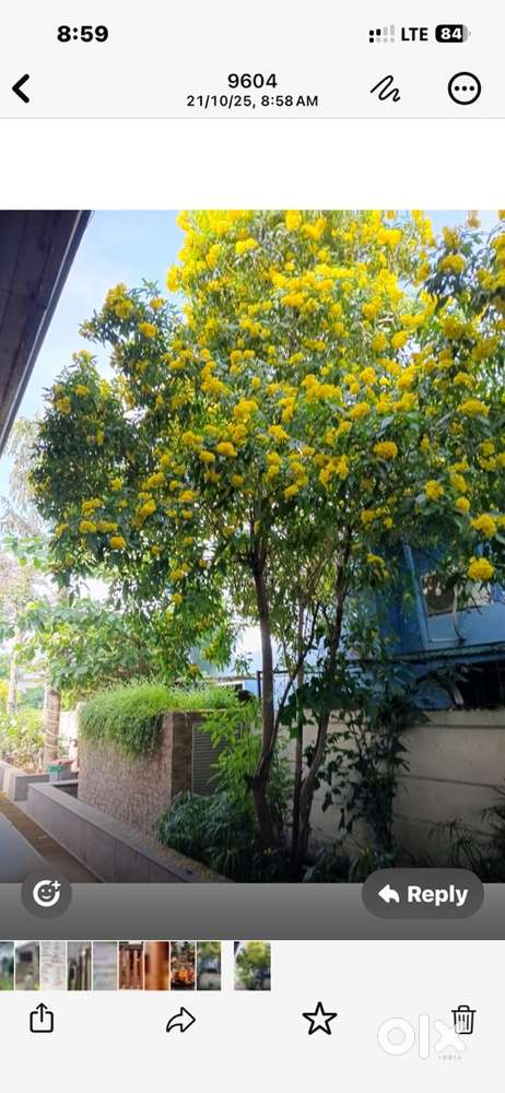 We require half acre land on rent For lawns