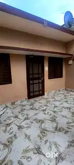 Need female room partner