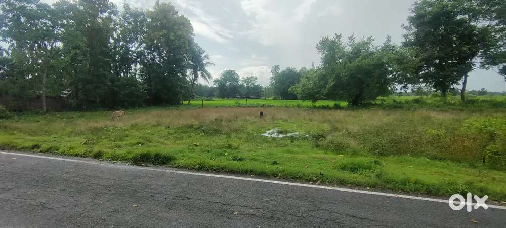 4kotha 8 lesa miyadi patta highway pora 800 Mitar