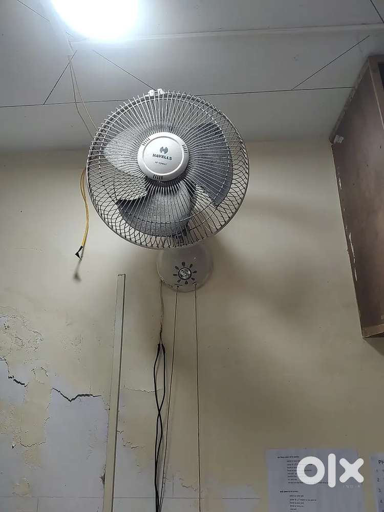 Celling fan