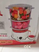 DYNAMIC STEAMER