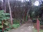 Land for Sale at Kidangoor