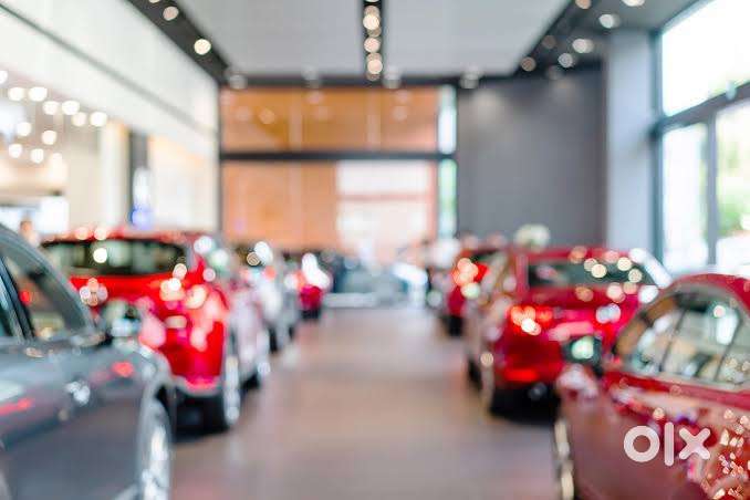 Wanted Male / Female Sales Executive Staff at Car Showroom
