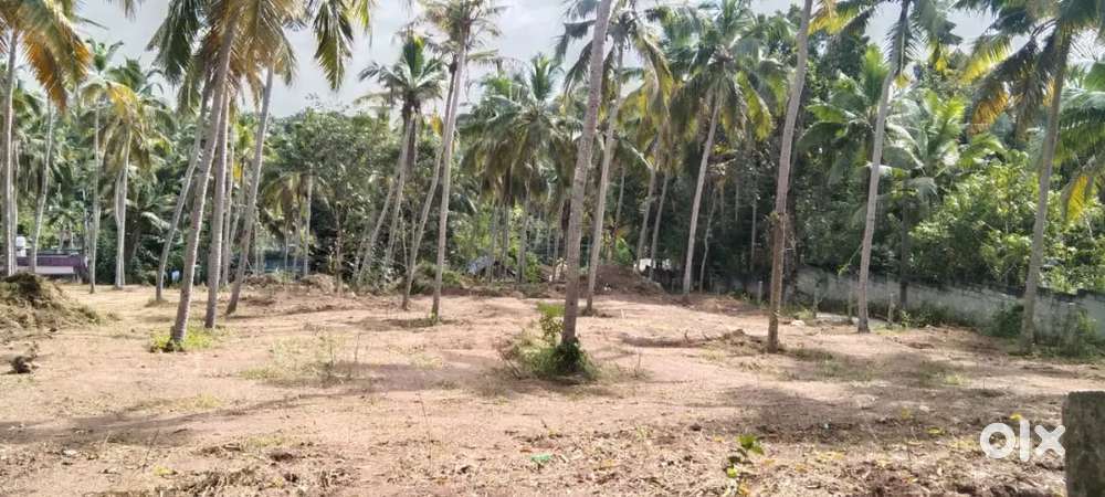 Techno park phase 4 mangalapuram nellimud Trivandrum