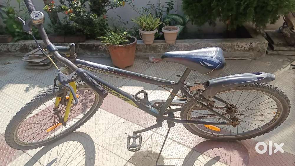 size 24 Frog bicycle