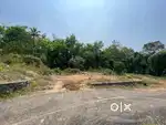 Kothamangalam town house plot for sale